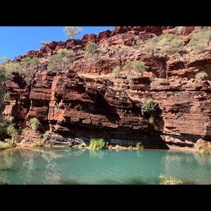 Meet your Posher, Louise